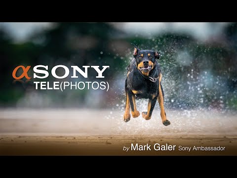 Sony's Best Telephoto Lenses