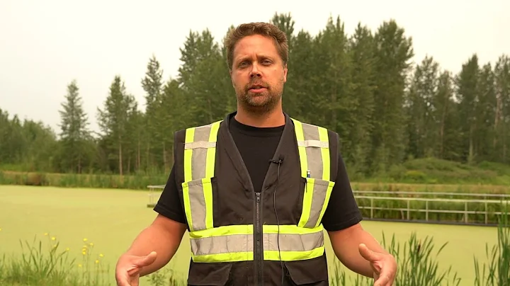 Does The Sewage Lagoon Smell? | Exploring Violet Grove Lagoon