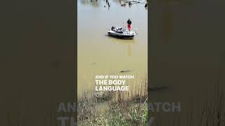 Famous HOW TO catch a CARP on FLY Wealth