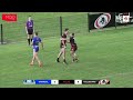 Thirroul Butchers v Collegians - Preliminary Final Highlights | Illawarra Rugby League