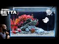 Dumbo Betta Tank: AMAZING Red Plant Aquascape Tutorial