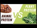 Protein quality  animal v plant pdcaas diaas