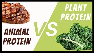 Protein Quality | Animal v. Plant, PDCAAS, DIAAS
