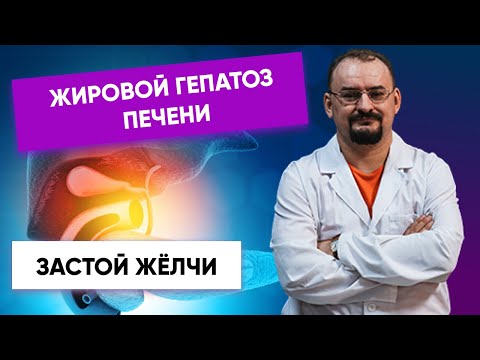 Застой жёлчи. Жировой гепатоз печени