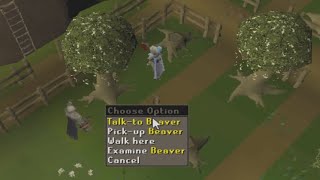 DID THIS JUST HAPPEN!!!!  OSRS Beaver PET
