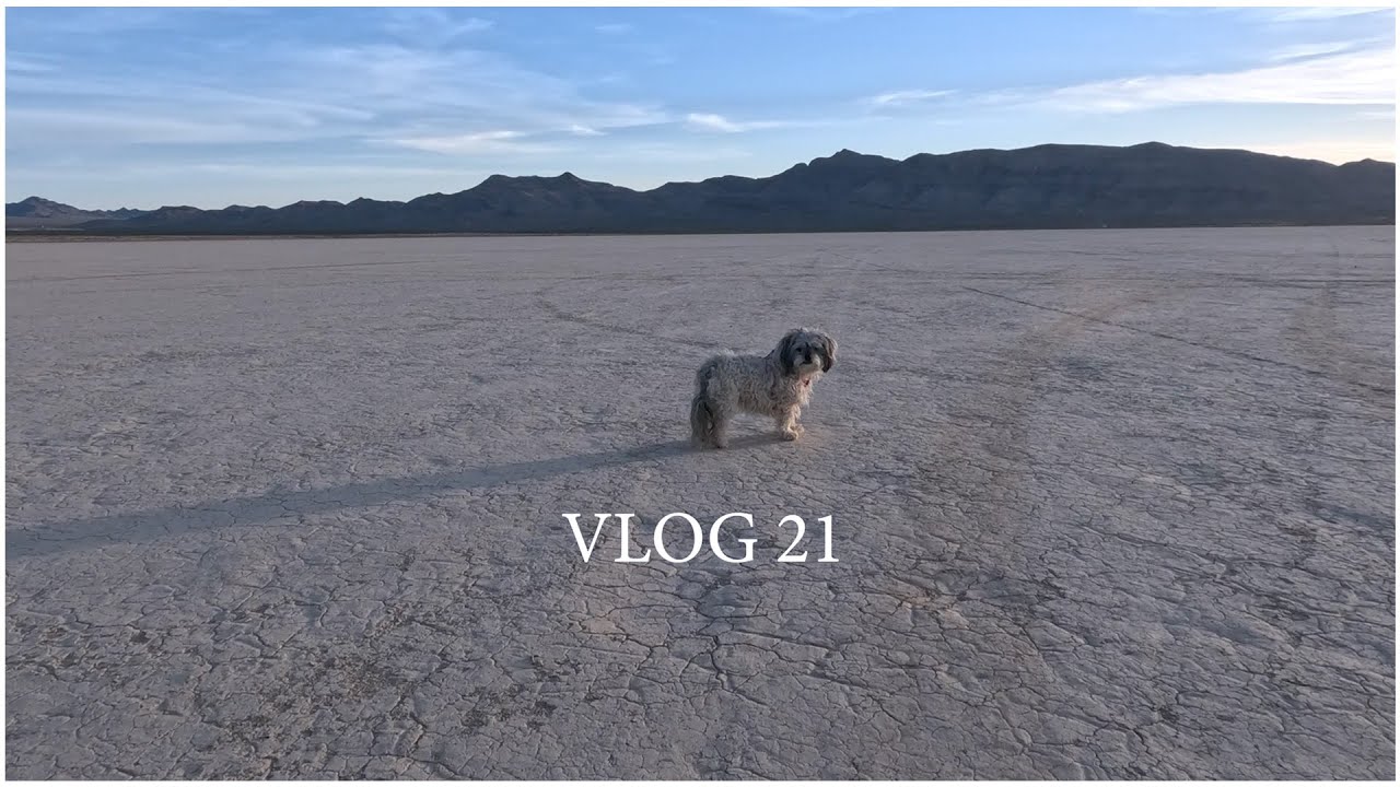 Desert Adventure Highlights [VLOG #21]