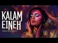 Sherine Kalam Eineh TWOMOOD Remix شيرين كلام عينيه ريمكس 