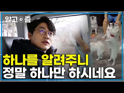 &amp;quot;우리는 오케스트라로 짖어요&amp;quot; 비행기 소리만큼의 소음을 다 같이 내는 강아지들 설쌤의 솔루션 틀리지 않았지만 제대로 되고 있진 않다｜세상에 나쁜 개는 없다｜알고e즘