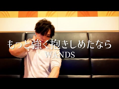 アラフォーおじさんがWANDSの『もっと強く抱きしめたなら』を歌って迷うことは無い