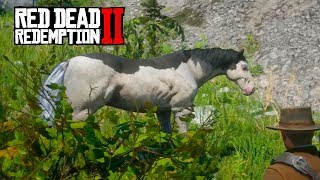 НОВАЯ Черно-белая лошадь ➤ Прохождение #11 ➤RED DEAD REDEMPTION 2 screenshot 5
