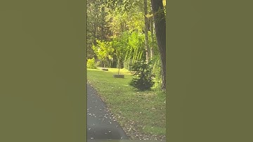 ‏آيات من الذكر الحكيم