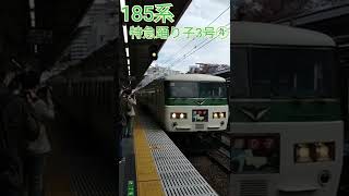 185系 特急踊り子3号修善寺行き 熱海駅発車