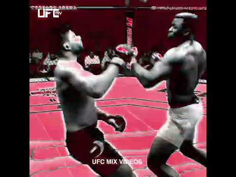 Francis Ngannou ko's