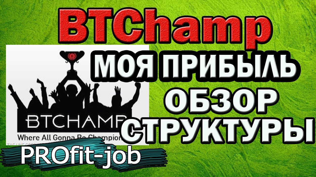 BTChamp  МОЯ ПРИБЫЛЬ  и обзор структуры