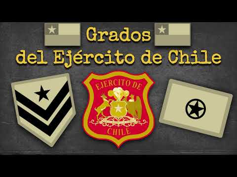 Descripción Del Puesto De Especialista En Atención Del Ejército (68t)