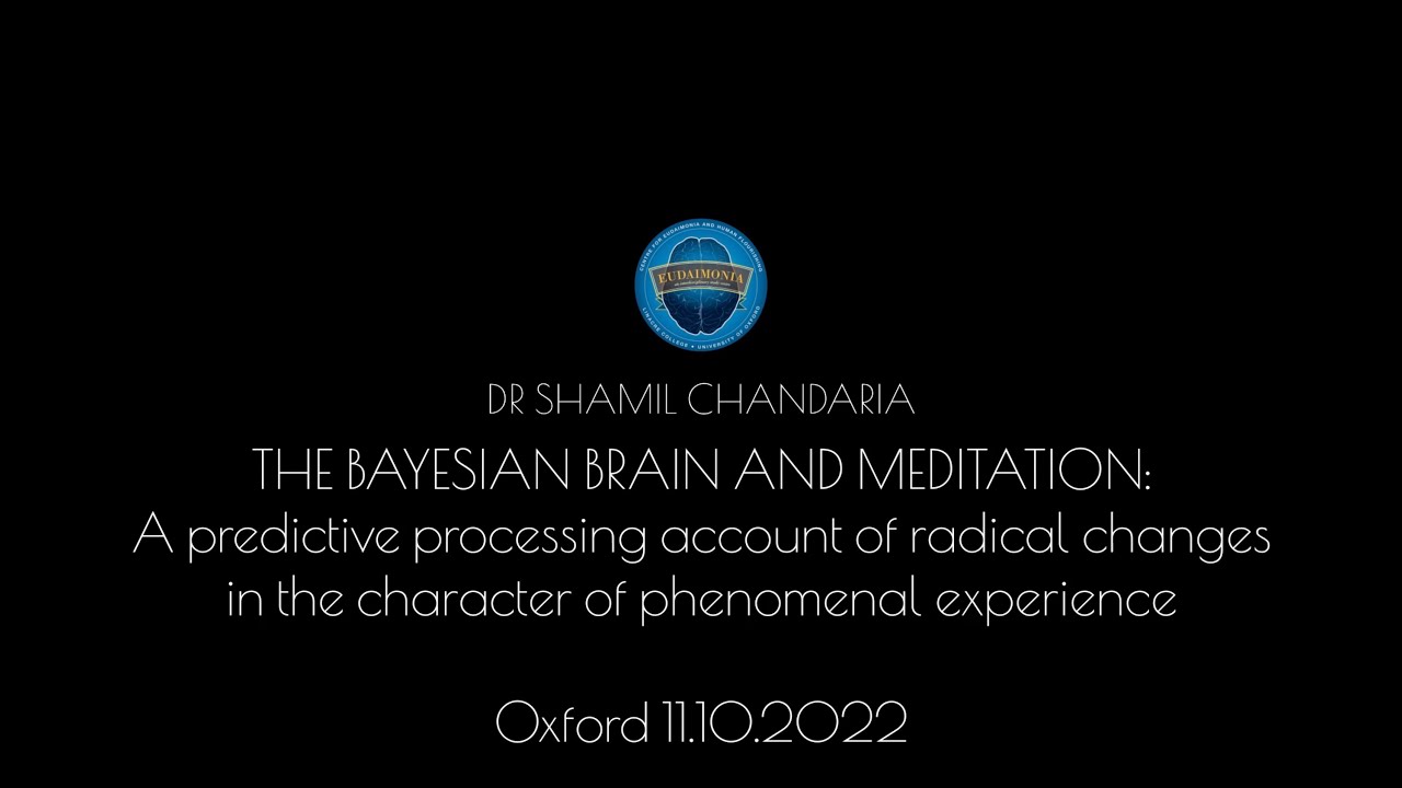 The Bayesian Brain and Meditation | Centre for Eudaimonia and