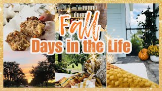 Autumn Days in the Life | Outdoor Fall Decor | Fall Shop with Me | Carrot Cake Muffins (Vegan/GF!) by Style My Sweets 1,977 views 7 months ago 15 minutes