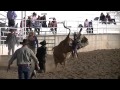 UHSRA Bullriding, Juab, April 26, 2013, Nephi, Utah 1