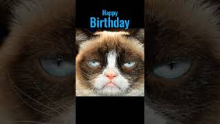 Grumpy Cat Happy Birthday Song (Too Funny) #shorts