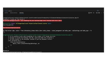 could not find driver (sql: select * from information_schema..... error