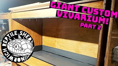 Giant 6ft Reptile Vivarium Build | Part 2 #reptiles #diy