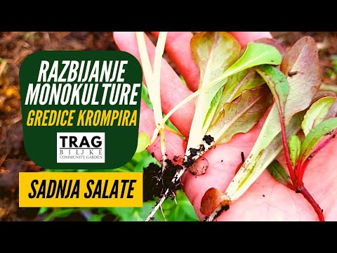 Video: Prvi znaki možganskega tumorja