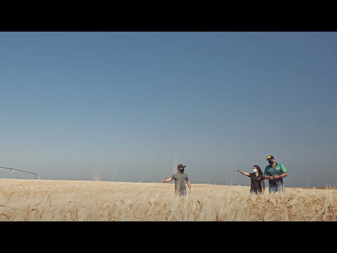 Ambev - Making Of