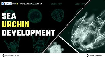 SEA URCHIN DEVELOPMENT I CSIR2023I GATE I DBTI STAR CONCEPT I