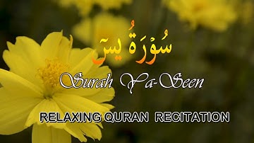 Peaceful Quran Recitation of Surah Yasin (Yaseen) سورة يس | BEAUTIFUL SOFT VOICE