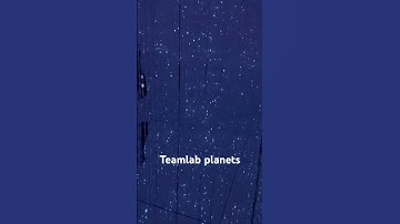 TeamLab  #teamlabplanets #teamlab #traveljapan #tokyo #日本 #mordenart #musium