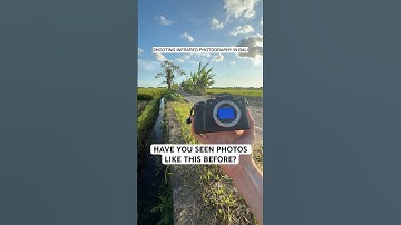 Infrared Photography 📸 on my Sony A7III (full color spectrum conversion) 🌴