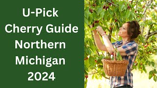 🍒 U-Pick Cherries in Michigan: 2024 Guide 🍒