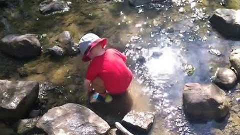 15 Minutes Every Day : Risky Play