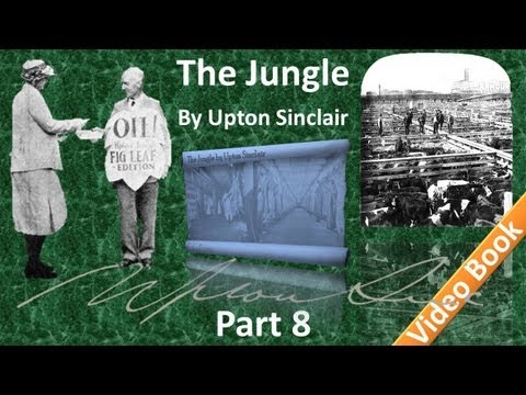 Part 8 - The Jungle Audiobook by Upton Sinclair (C...