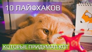 ЛАЙФХАКИ ДЛЯ КОШЕК И КОТОВ КОТОРЫЕ УПРОСТЯТ ВАШУ ЖИЗНЬ