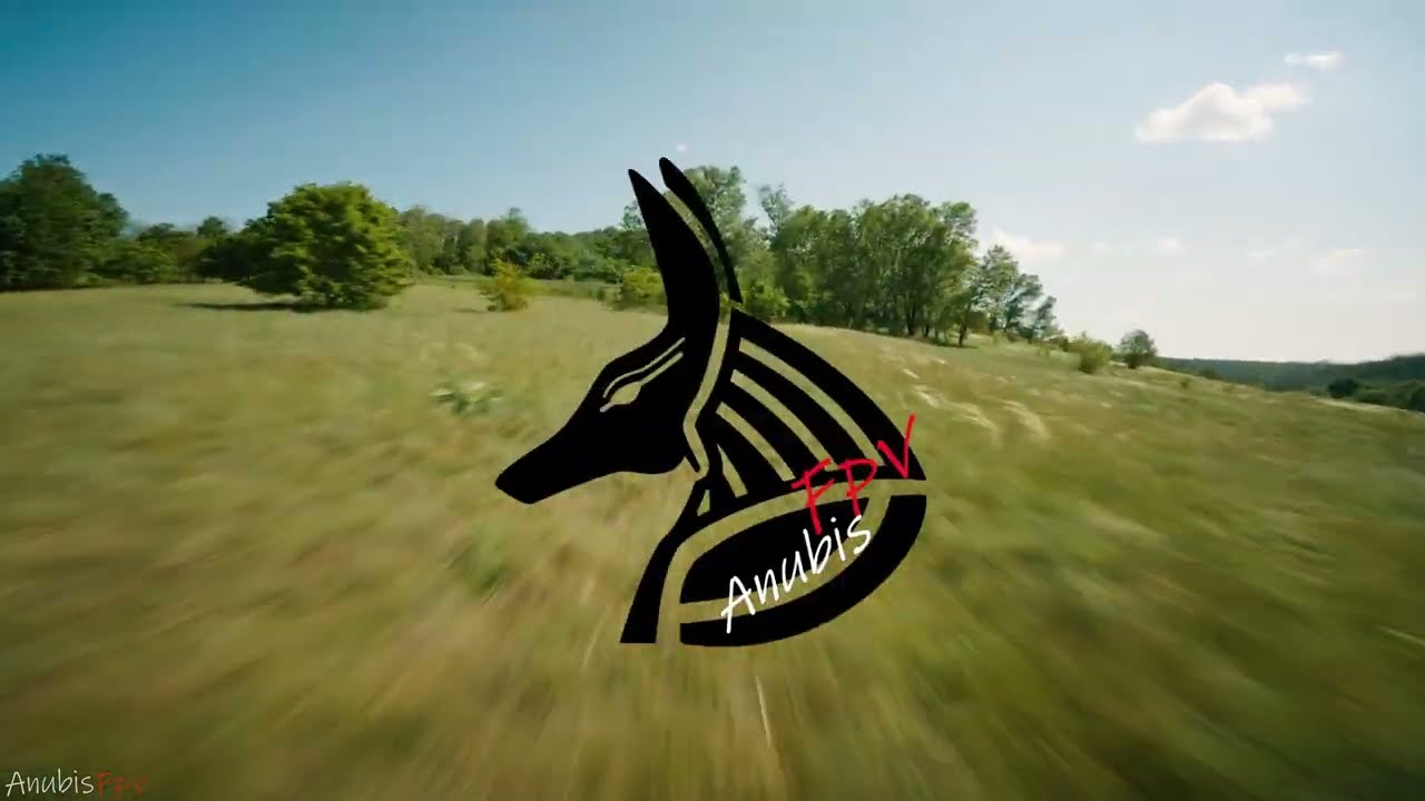 UNCUT FUN🔥🔥🔥Dancing With The Trees (Freestyle Fpv)