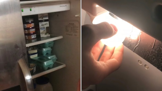 OldGuyDIY 2 Minute Kenmore Kitchenaid Elite Refrigerator Light