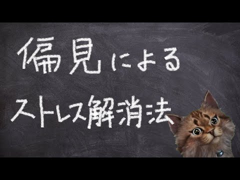 考える猫 を見下すという偏見とストレス解消法が出会うとき Youtube