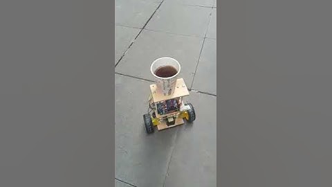 Arduino Denge Robotu