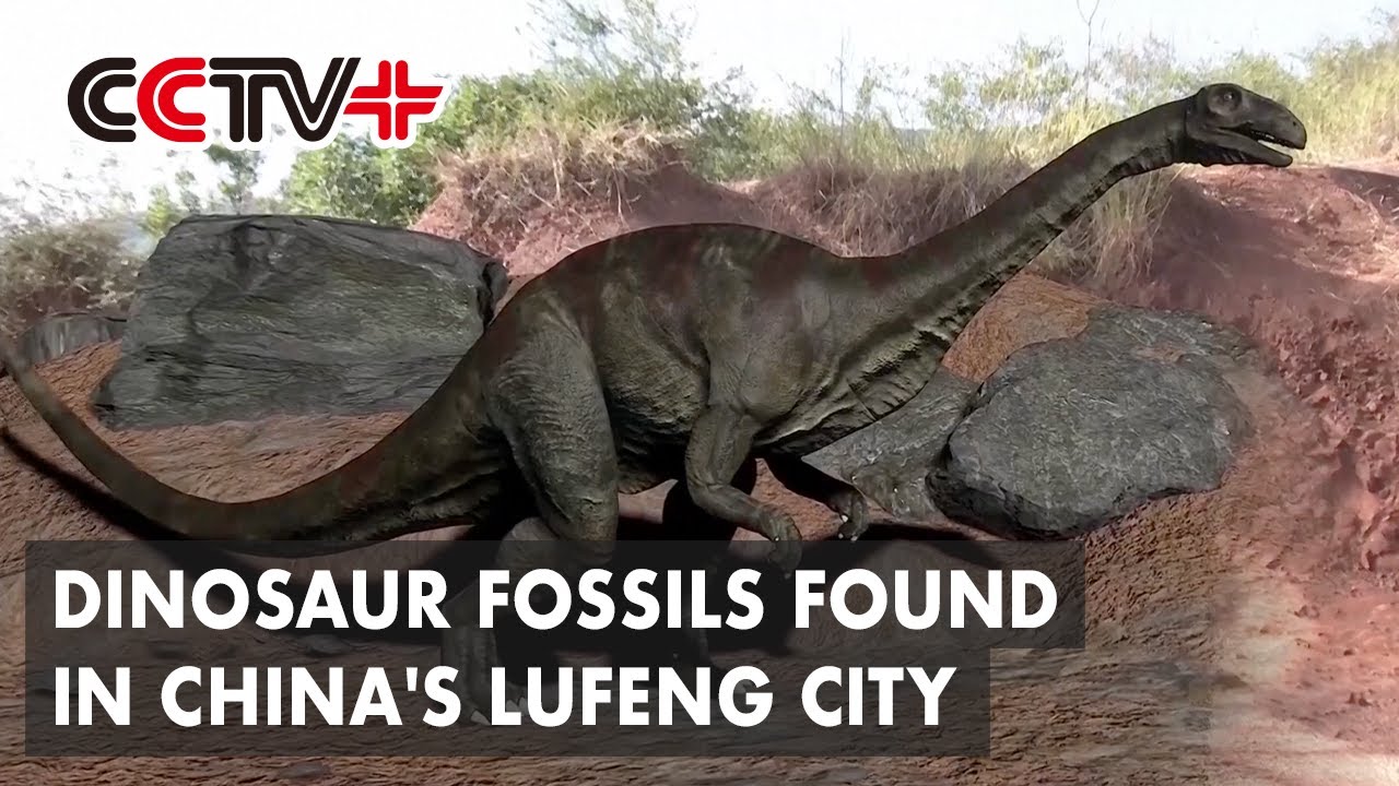 Excavation, Repair of Dinosaur Fossils Underway in Southwest China's Lufeng City