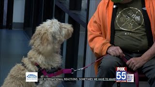 Preventable disease cases rise in Fort Wayne pets as fewer owners vaccinate their animals
