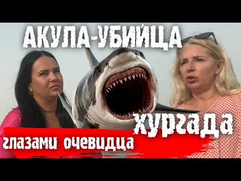 АКУЛА-УБИЙЦА. ХУРГАДА. ГЛАЗАМИ ОЧЕВИДЦА ?? KILLER SHARK. HURGHADA. THROUGH THE EYES OF AN EYEWITNESS