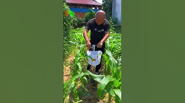 Nông nghiệp công nghệ cao, Tưới tự động Tháp Xanh