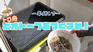 メダカ【トロ舟ビオトープ】作ってみた！