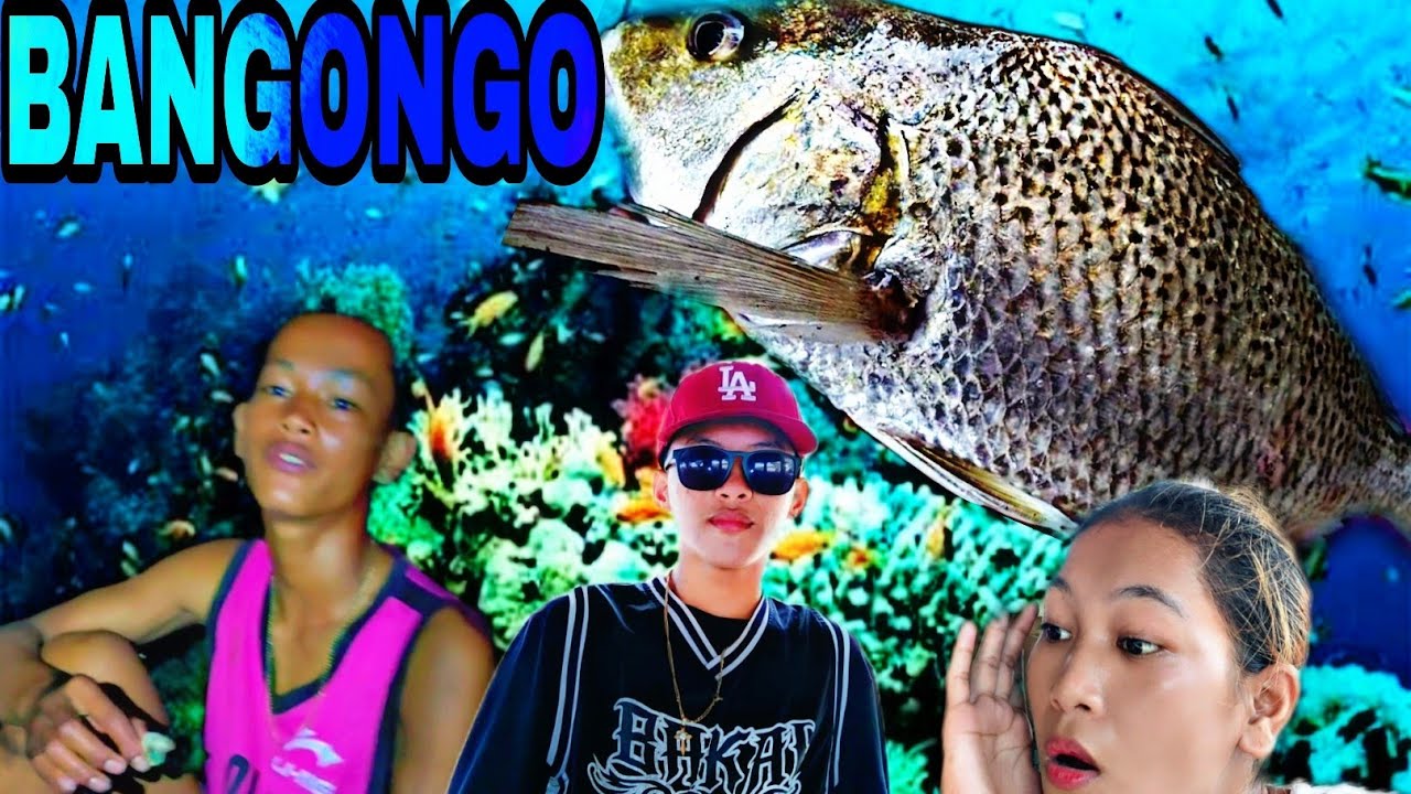 BANGONGO ADVENTURE @JaperSniperOfficial @kamuningofficial3860 - YouTube