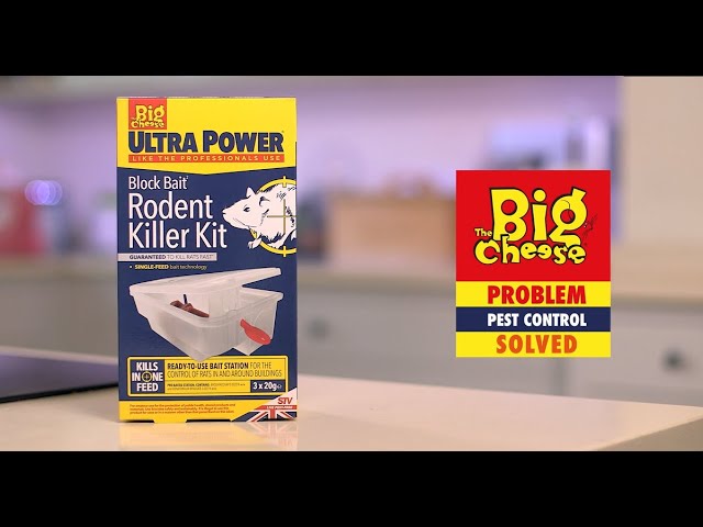 Mouse Killer Kit 15 Pasta Sachets - The Big Cheese Official