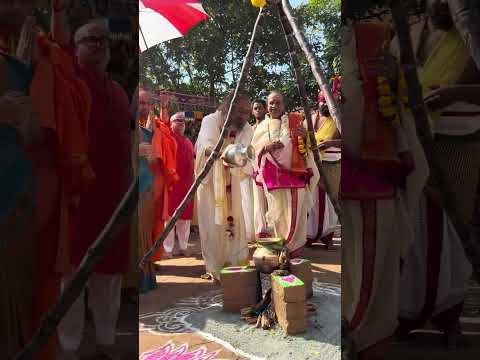 Happy Makara Sankranthi!