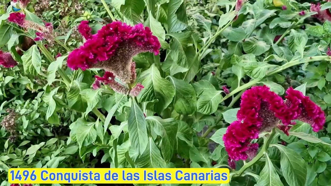 El Alcázar en la actualidad