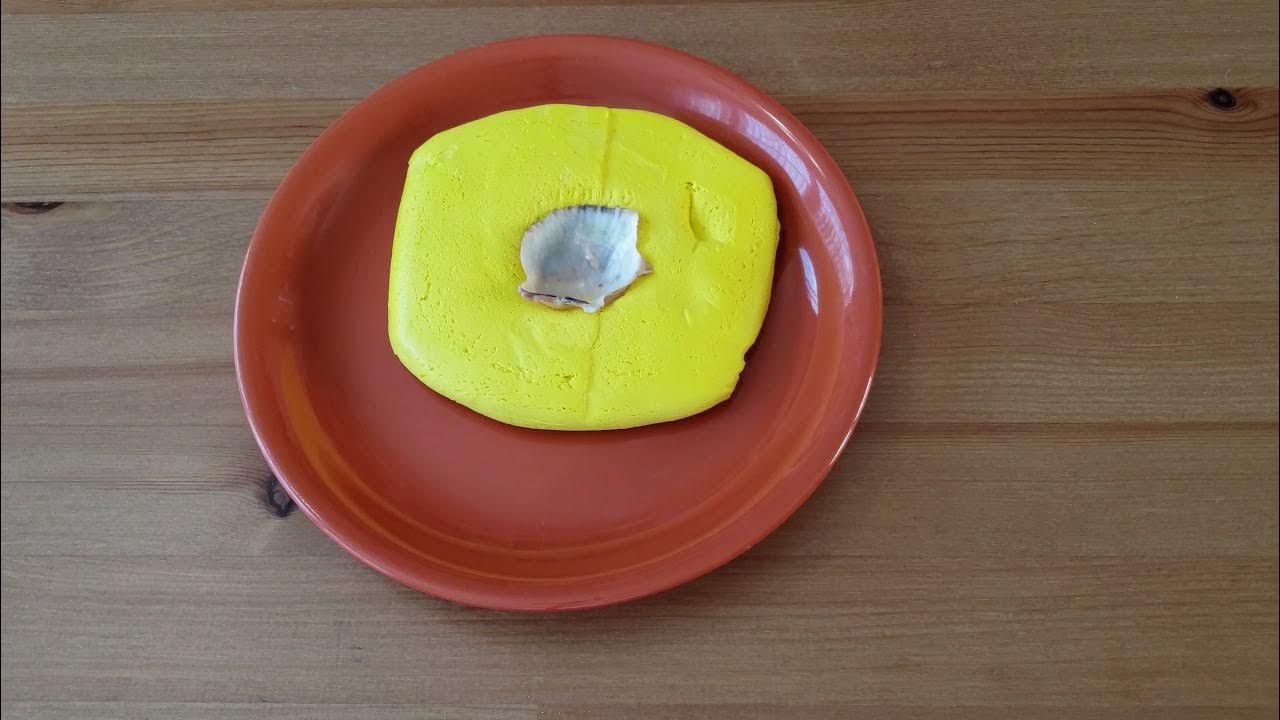 Mold and Cast Fossil Experiment YouTube