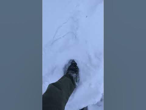 Нормальный хуй - YouTube